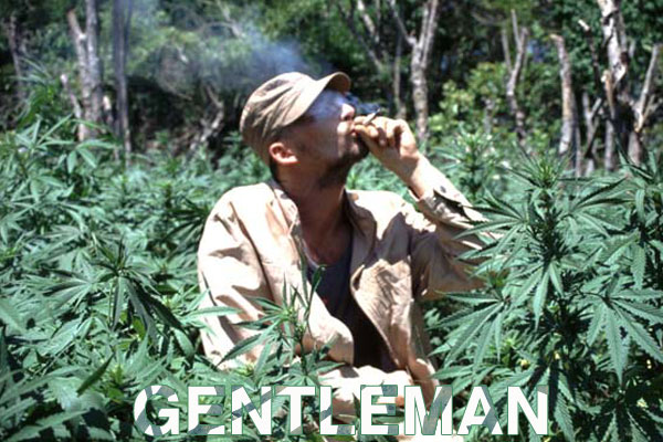 Gentleman & The Far east band Summer Tour Dates Europe