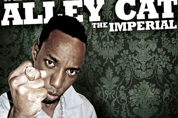 alley cat artist on the rise