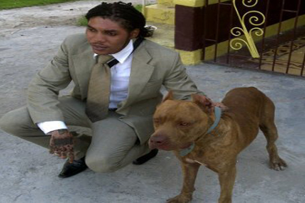 Vybz Kartel to seek bail again tomorrow