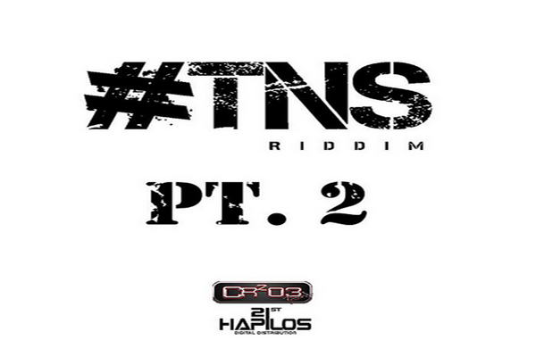 TNS RIDDIM PT2 ZJChrome CR203 RECORDS