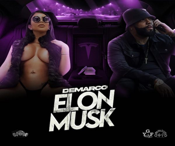 Jamaican artist Demarco Elon Musk new music 2022