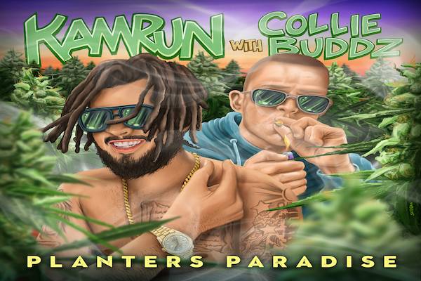 kamrun collie buddz planters paradise