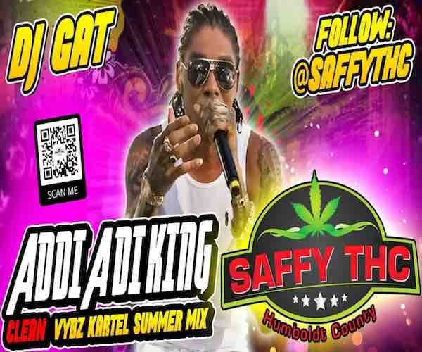 vybz kartel addi a di king vybz kartel summer mix clean