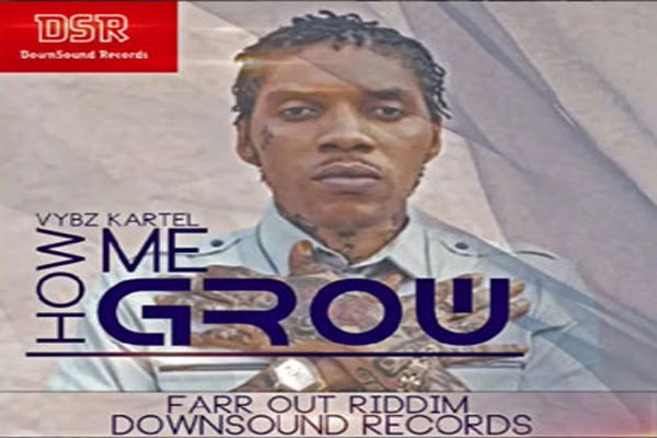listen to vybz kartel how me grow farr out riddim dsr
